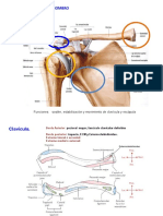 Clase 2 Region Del Hombro