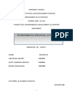 Environmental Financial Accounting