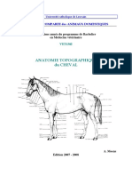 Topo Cheval PDF