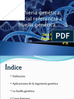 Sara Gil Méndez Paula Pinto Ferro 4ºA