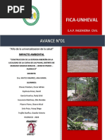 Avance 01 - Impacto Ambiental