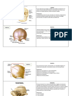 Anatomia Fichas