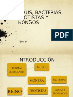 Bacterias Protistas Hongos 2