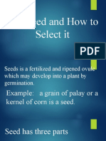 Characteristics of Seed