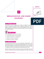 Hematoxylin and Eosin Staining