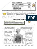 Taller 9 Partes-del-Sistema-Respiratorio-para-Tercero-de-Primaria