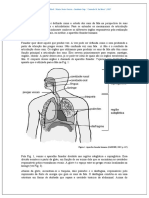 Fonetica Articulatória e Aparelho Fonador