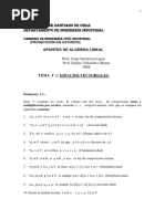 TEMA #1 ESPACIOS VECTORIALES (En Revisión) PDF