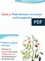 Plant Disease, Its Causes and Symptoms: Class 3