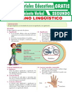 Signo Lingustico 7