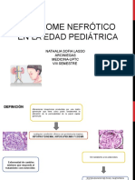 Sindrome Nefrotico