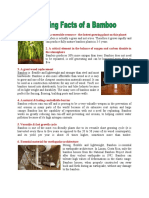 Amazing Facts of A Bamboo