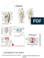 Knee Injury: By: Haspreet Gill