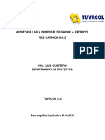 Informe Auditoria Vapor Red Carnica PDF