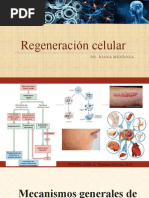 Mecanismos Generales de Restitución Tisular1