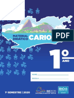 1 Ano PDF