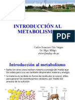 01 Introduccion Al Metabolismo