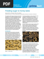 Feeding Sugar To Honey Bees