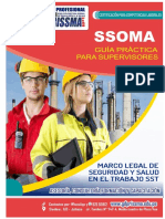 Mod-10000009-Modulo I Manual Ssoma PDF