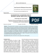 Macrophytes As Bioindicator in Bichhiya River, Rewa (M.P.), India