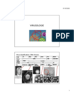 Virusologie: Virus Classification: DNA Viruses