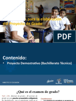 Lineamientos Proyecto Demostrativo