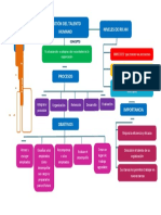 Grupo 7 Organizador Visual