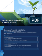 Saneamento Ambiental e Saúde Pública