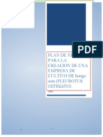 Plan de Negocios para Creacacion de Empresa