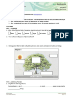 Photosynthesis StudentWS Animation