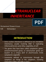 Extra Nuclear Inheritance