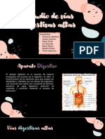 EE - Estudio de Vìas Digestivas Altass PDF