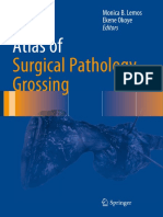 (Atlas of Anatomic Pathology) Monica B. Lemos, Ekene Okoye - Atlas of Surgical Pathology Grossing-Springer International Publishing (2019)