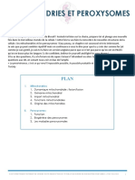 FC - Mitochondries Et Peroxysomes