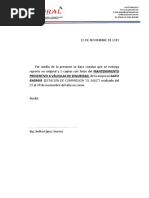 Reporte Válvulas de Seguridad Saavi PDF