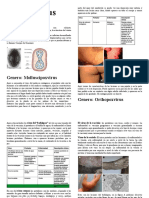 Poxvirus FINAL