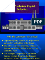 Risk Analysis in Capital Budgeting