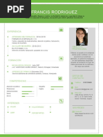 Plantilla Curriculum Vitae 5