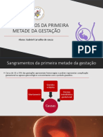 Sangramentos Da Primeira Metade Da Gestação