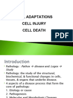 Bab 1 Cellular Responses To Stress & Toxic Insults