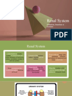 Renal System: Definition, Functions & Diseases