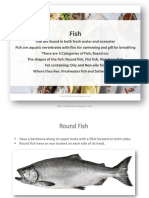 Types of Fish