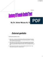 Female Genital Tract Anatomy 5th Year