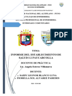 Informe Final Paucarcolla 1