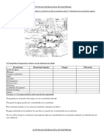 Actividad de Ecosistema