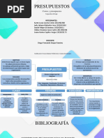 Mapa Conceptual Presupuestos