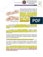 11.-Tercio Distal Del Radio y Cubito