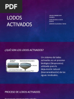 Lodos Activados