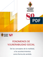 Fenómenos de Vulnerabilidad Social