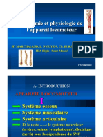 Ifsi Anatomie Physiologie Appareil Locomoteur